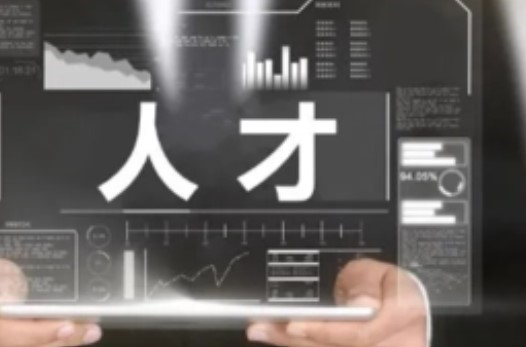 助力地方建立騎士人才在線招聘系統(tǒng)：促進經(jīng)濟發(fā)展，優(yōu)化人才流動